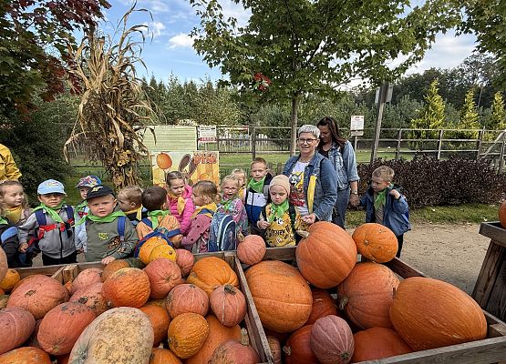 Grafika 15: 29.09.2026 Wycieczka na Farmę Alexa!