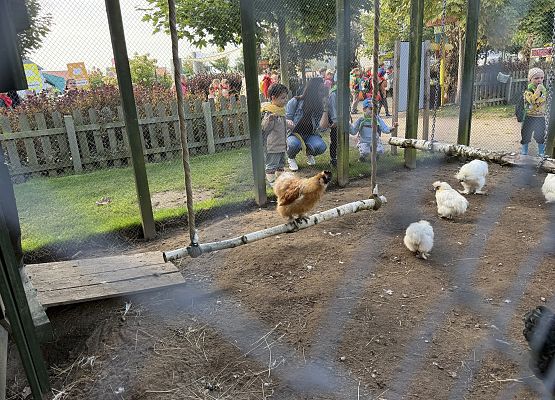 Grafika 26: 29.09.2026 Wycieczka na Farmę Alexa!