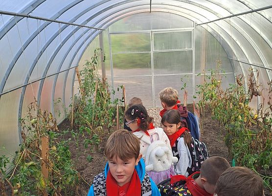 Grafika 226: 29.09.2026 Wycieczka na Farmę Alexa!