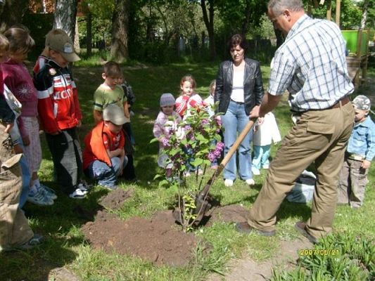 Grafika #1: 2008-05-21 - Sadzimy krzew zakupiony z pieniędzy pozyskanych ze sprzedaży makulatury