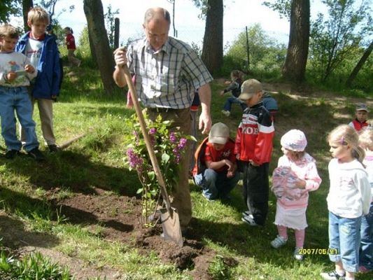 Grafika #2: 2008-05-21 - Sadzimy krzew zakupiony z pieniędzy pozyskanych ze sprzedaży makulatury