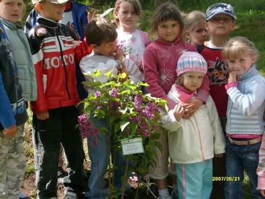 Grafika #6: 2008-05-21 - Sadzimy krzew zakupiony z pieniędzy pozyskanych ze sprzedaży makulatury