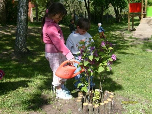 Grafika #7: 2008-05-21 - Sadzimy krzew zakupiony z pieniędzy pozyskanych ze sprzedaży makulatury