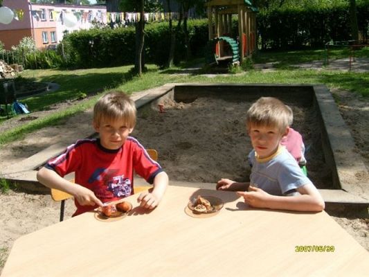 Grafika #7: 2008-05-30 - Festyn Rodzinny