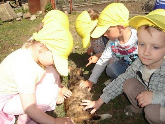Grafika #1: 2008-06-03 - Maluchy na wycieczce w Mini ZOO w Charbrowie