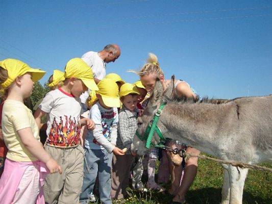 Grafika #5: 2008-06-03 - Maluchy na wycieczce w Mini ZOO w Charbrowie