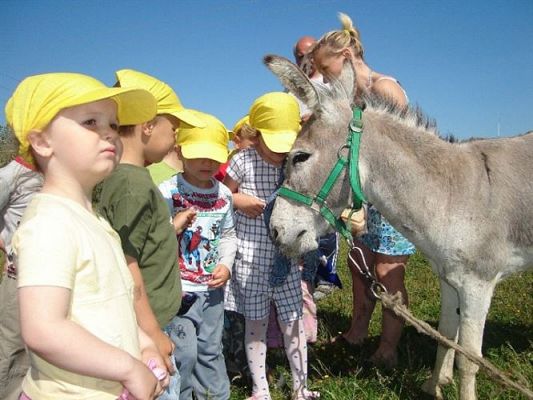 Grafika #7: 2008-06-03 - Maluchy na wycieczce w Mini ZOO w Charbrowie