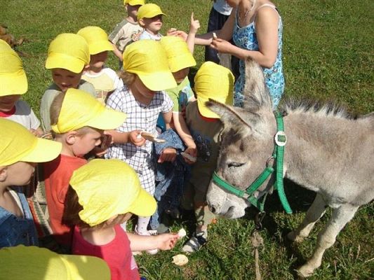 Grafika #8: 2008-06-03 - Maluchy na wycieczce w Mini ZOO w Charbrowie