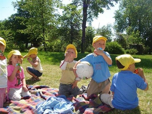 Grafika #14: 2008-06-03 - Maluchy na wycieczce w Mini ZOO w Charbrowie