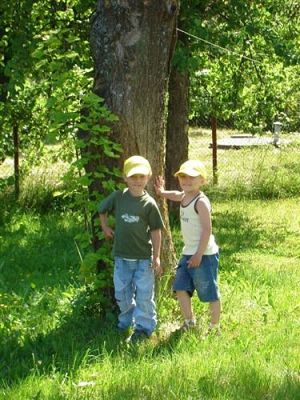 Grafika #20: 2008-06-03 - Maluchy na wycieczce w Mini ZOO w Charbrowie