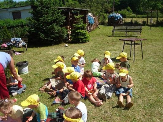 Grafika #32: 2008-06-03 - Maluchy na wycieczce w Mini ZOO w Charbrowie