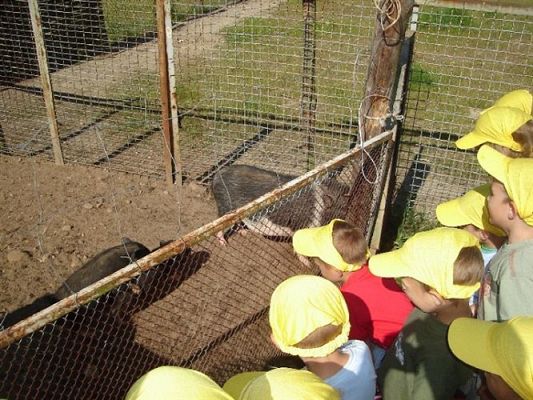 Grafika #33: 2008-06-03 - Maluchy na wycieczce w Mini ZOO w Charbrowie