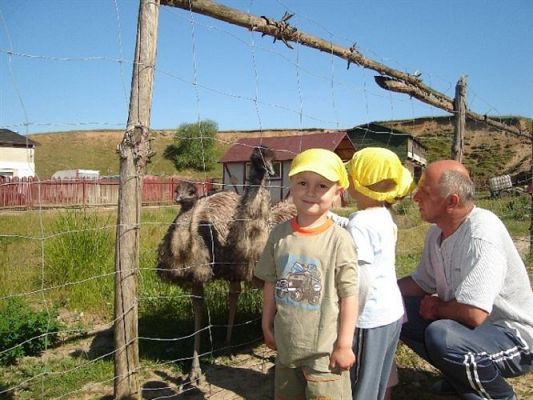 Grafika #35: 2008-06-03 - Maluchy na wycieczce w Mini ZOO w Charbrowie