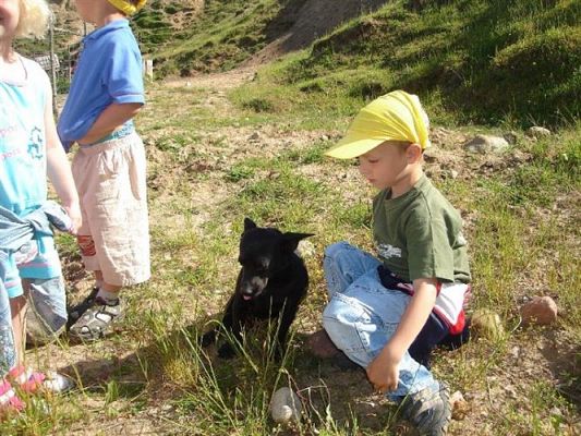 Grafika #36: 2008-06-03 - Maluchy na wycieczce w Mini ZOO w Charbrowie