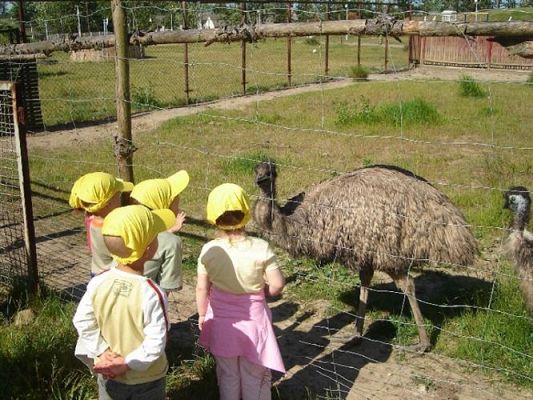 Grafika #37: 2008-06-03 - Maluchy na wycieczce w Mini ZOO w Charbrowie