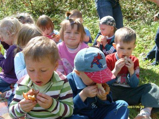 Grafika #16: 2008-05-06 - Wycieczka do Drętowa