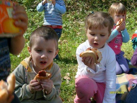 Grafika #17: 2008-05-06 - Wycieczka do Drętowa