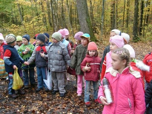 Grafika #15: 2008-10-28 Wycieczka do Krępy Kaszubskiej