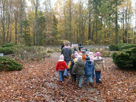 Grafika #16: 2008-10-28 Wycieczka do Krępy Kaszubskiej