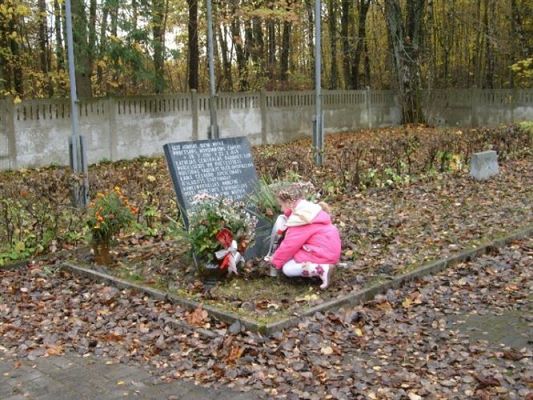 Grafika #20: 2008-10-28 Wycieczka do Krępy Kaszubskiej