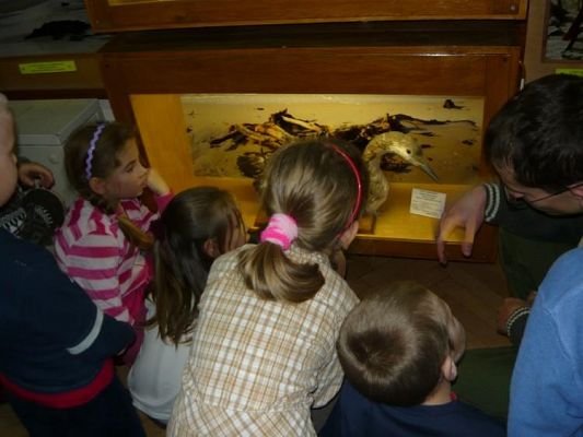 Grafika #9: 2009.11.12 - Wycieczka do Muzeum Słowińskiego Parku Narodowego w Smołdzinie