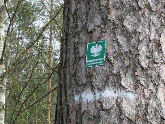 Grafika #12: 27.04.2010 - Wizyta w leśniczówce w Borze Charbrowskim