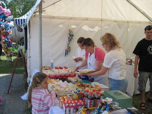Grafika #8: 12.06.2010 - Rada Rodziców na Festynie Gminnym "Niezapominajka"