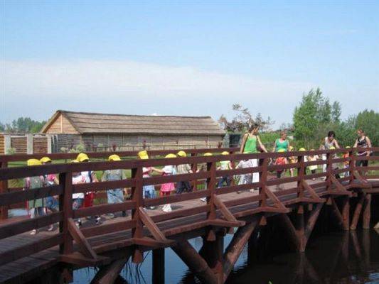 Grafika #32: 11.06.2010 - Wycieczka do Parku Jurajskiego w Łebie