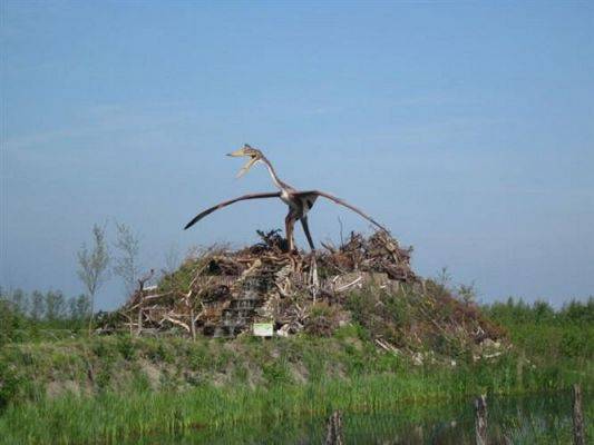 Grafika #33: 11.06.2010 - Wycieczka do Parku Jurajskiego w Łebie