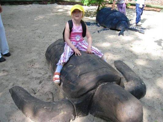 Grafika #37: 11.06.2010 - Wycieczka do Parku Jurajskiego w Łebie