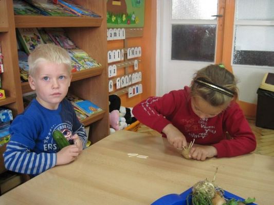 Grafika #0: 07.10.2010 - Warzywne cudaki Gr. III