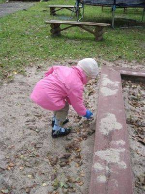 Grafika #5: 17.09.2010 - Bierzemy udział w Ogólnopolskiej Akcji "Sprzątania Świata"