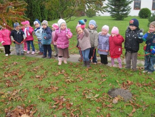 Grafika #2: 19.10.2010 - W poszukiwaniu jesieni