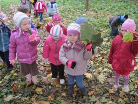 Grafika #3: 19.10.2010 - W poszukiwaniu jesieni