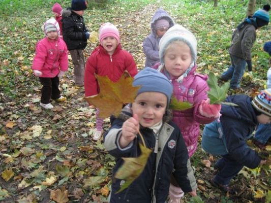 Grafika #7: 19.10.2010 - W poszukiwaniu jesieni