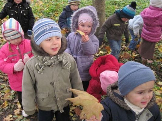 Grafika #8: 19.10.2010 - W poszukiwaniu jesieni