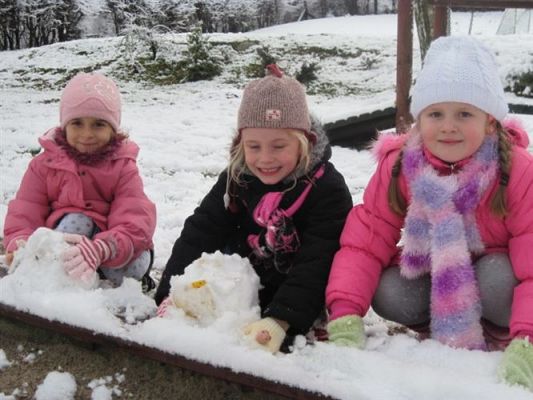 Grafika #4: 26.11.2010 - Powitaliśmy pierwszy śnieg