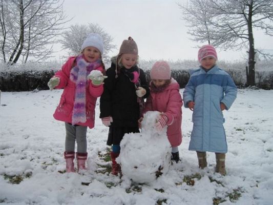 Grafika #7: 26.11.2010 - Powitaliśmy pierwszy śnieg