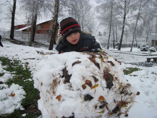 Grafika #10: 26.11.2010 - Powitaliśmy pierwszy śnieg