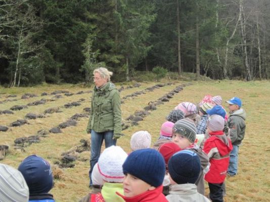 Grafika #7: 14.04.2011 - Wycieczka do lasu