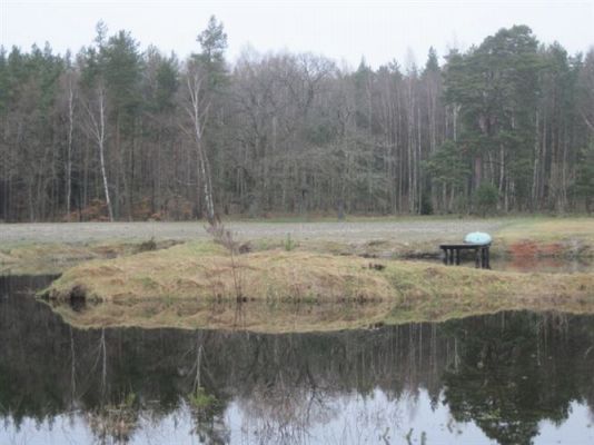 Grafika #10: 14.04.2011 - Wycieczka do lasu