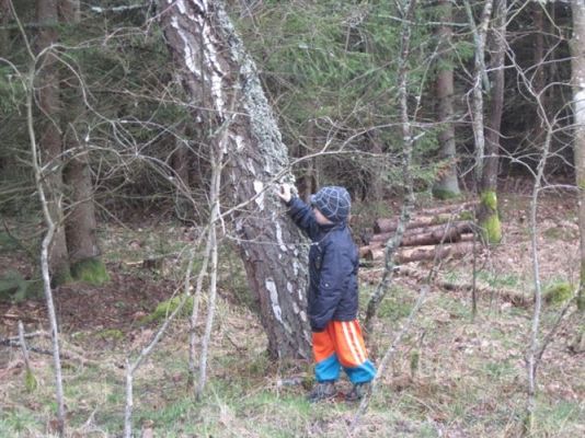 Grafika #12: 14.04.2011 - Wycieczka do lasu