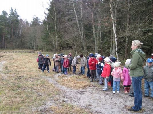 Grafika #15: 14.04.2011 - Wycieczka do lasu