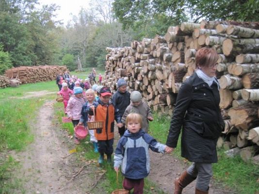 Grafika #4: 29.09.2011 - Wycieczka do lasu - Zbieramy jesienne dary