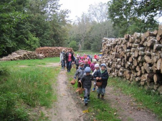 Grafika #5: 29.09.2011 - Wycieczka do lasu - Zbieramy jesienne dary