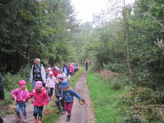 Grafika #6: 29.09.2011 - Wycieczka do lasu - Zbieramy jesienne dary