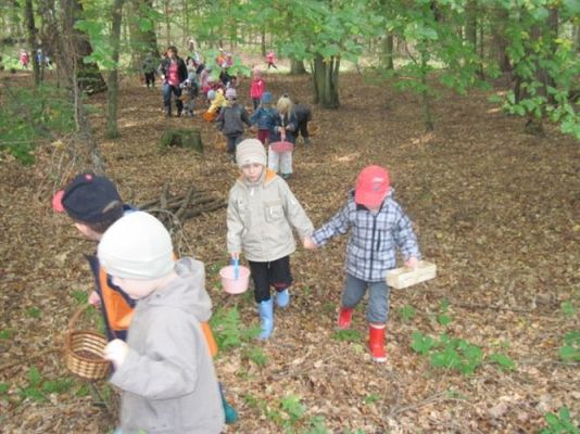 Grafika #7: 29.09.2011 - Wycieczka do lasu - Zbieramy jesienne dary