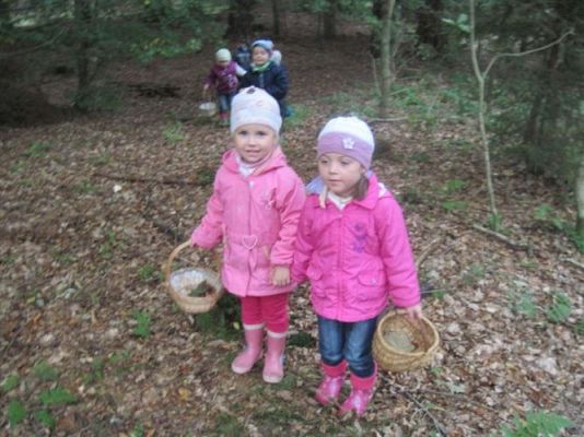 Grafika #8: 29.09.2011 - Wycieczka do lasu - Zbieramy jesienne dary