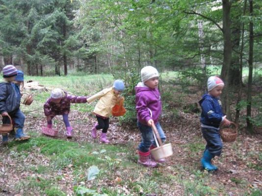 Grafika #10: 29.09.2011 - Wycieczka do lasu - Zbieramy jesienne dary