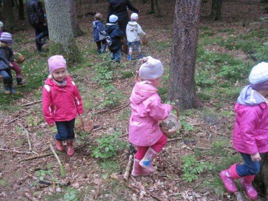 Grafika #11: 29.09.2011 - Wycieczka do lasu - Zbieramy jesienne dary